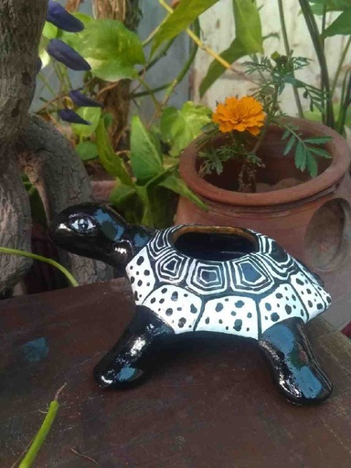 [006] Hand Painted Turtle