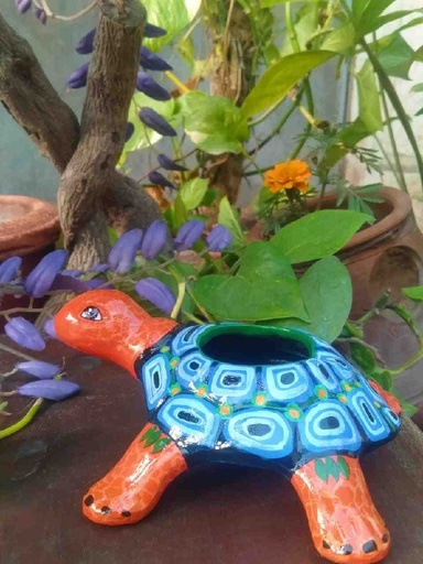 [001] Hand Painted Turtle