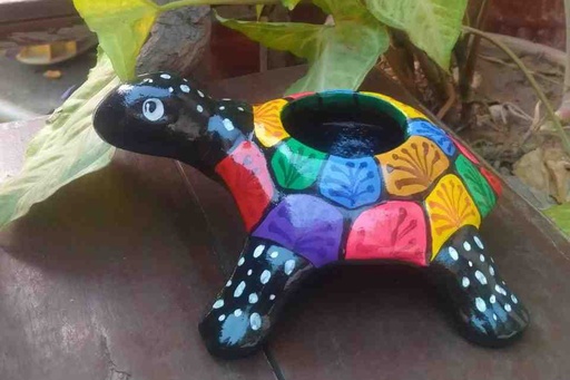 [007] Hand Painted Turtle