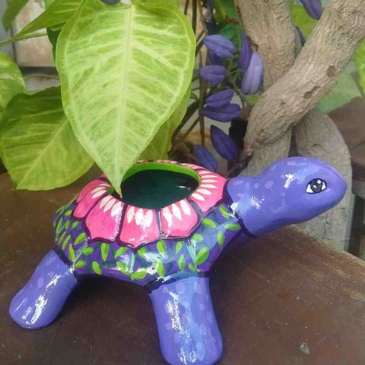 [002] Hand Painted Turtle