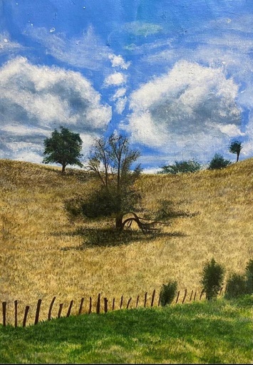 [PK8392-AR-ACR-028317] Countryside Painting
