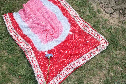 [PK2502-CW-SCF-028730] Gotta Work Embroided Dupatta