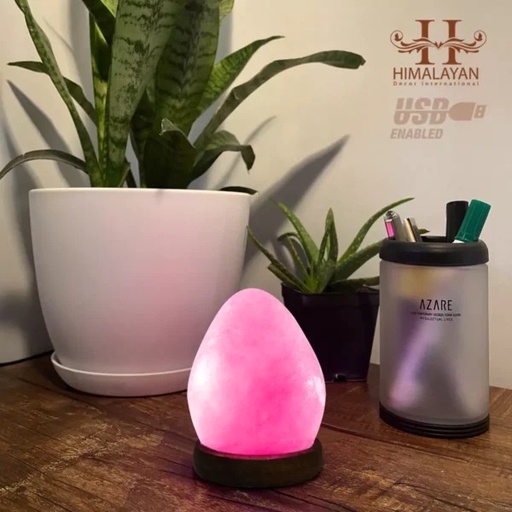 [PK8146-HM-DCR-029204] Egg Shape USB Himalayan Salt Lamp with Multicolored LED Bulb
