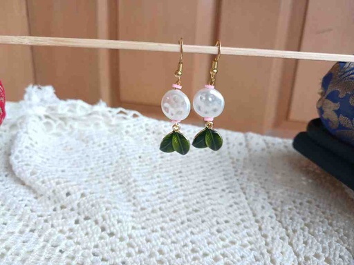 [PK3311-JW-EAR-029806] Trendy earrings 