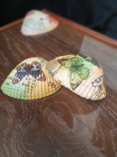 Decoupaged sea shell