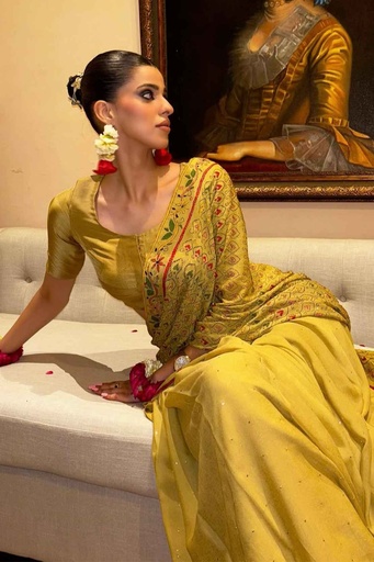 [1-sr-25] Royal Embroidered Saree