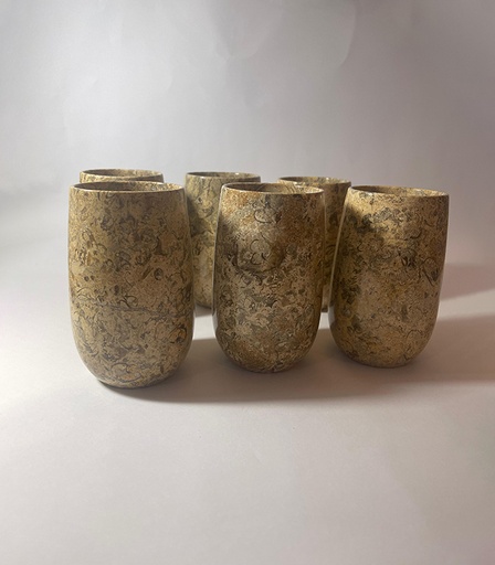 [VC-NUQ-NQMFOSGL42] Fossil Glasses Set Of 6