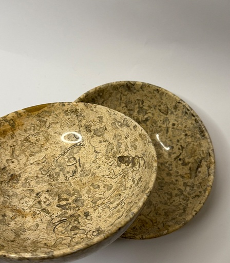 [VC-NUQ-NQMFLOG123] Fossil Bowl Small