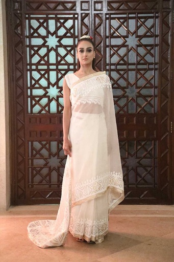 [3.SR.25] Golden Applique Saree