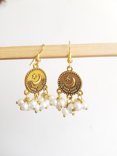 Coin earrings