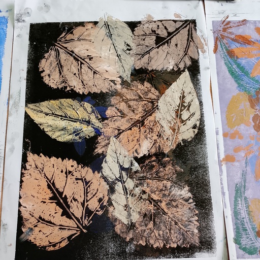 Nature-Inspired Framed Decor