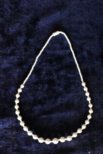 [PK0075-JW-NCK-000558] Camelbone Necklace