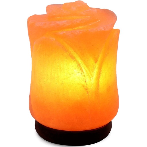 [PK1850-HM-DCR-008018] Flower Salt Lamp
