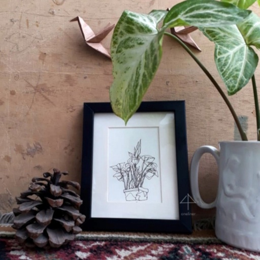 [PK2814-AR-DRW-008966] Money Plant - Drawing