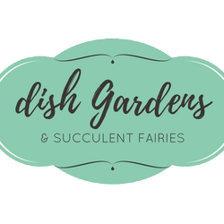Dish Gardens & Succulent Fairies
